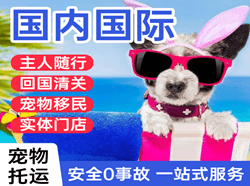 扬州机场快递国际宠物托运 【国